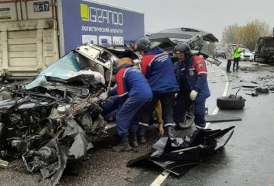Спасатели деблокировали пострадавшего водителя после аварии в Лужском районе