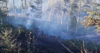 На западе Грузии остаются три активных очага пожара - спасатели борются с огнем