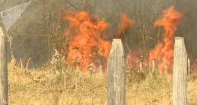 Леса продолжают гореть на западе Грузии: три очага в районе Цаленджиха - видео