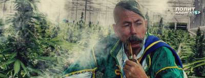 Украина должна стать мировым экспортером марихуаны – Карасев