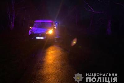 На Житомирщине пьяный водитель сбил детей, один мальчик умер