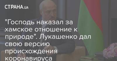"Господь наказал за хамское отношение к природе". Лукашенко дал свою версию происхождения коронавируса