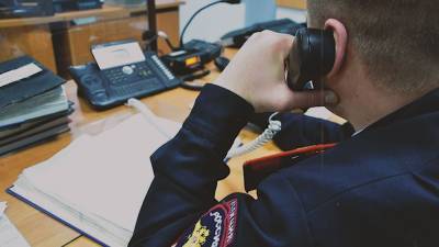 В новогоднюю ночь в Подмосковье поставлен рекорд по звонкам в полицию.