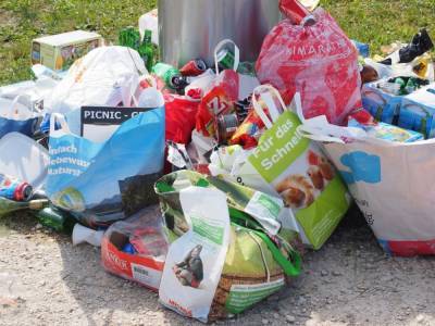 В Воронеже запечатлели на видео мусорные завалы