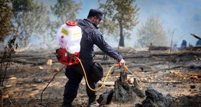 В Грузии за сутки пожарные потушили 100 пожаров