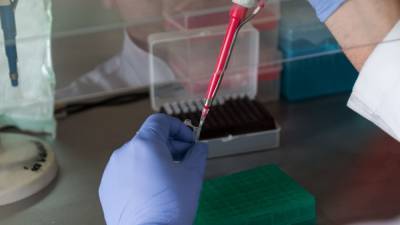 Ученые обнаружили подавляющее коронавирус вещество