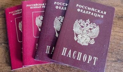 В 2020 году резко выросло число иностранцев, получивших гражданство России