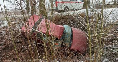 В Черняховском районе легковушка врезалась в дерево, пострадали водитель и пассажир (фото)