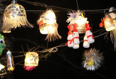 Свет в чистое будущее: в Гатчине появилась новогодняя аллея с фонариками из вторсырья