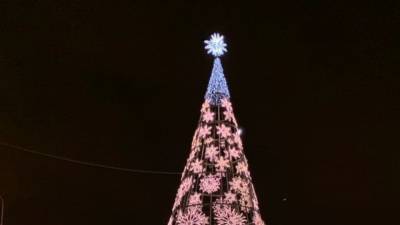 Житель Ярославской области залез на новогоднюю елку ради спора и сорвался с нее