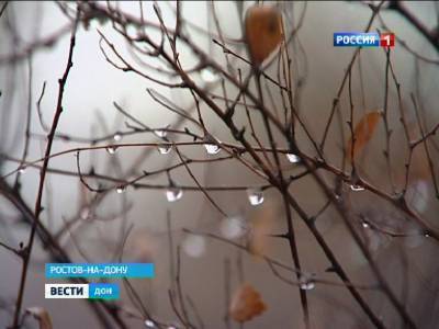 Новогодние праздники в Ростове будут не по-зимнему теплыми