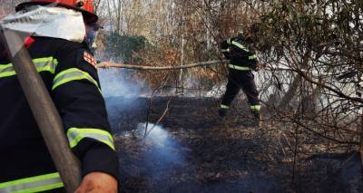 Борьба с огнем в Самегрело: как пожарные-спасатели ликвидируют очаги огня - фото
