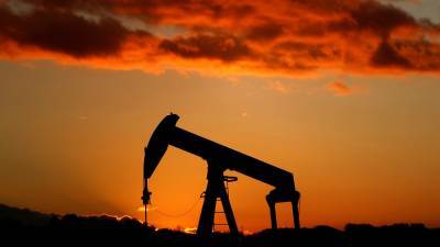 «Подарок для рынка»: страны ОПЕК+ договорились снизить добычу нефти в феврале и марте на 1,4 млн баррелей в сутки