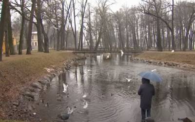 Весеннее тепло в разгар зимы: синоптики рассказали, какой будет погода в Украине 6 января