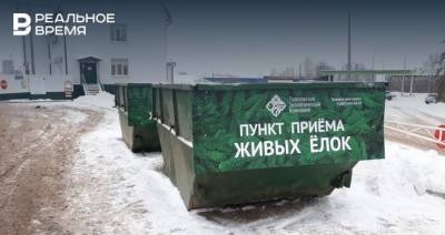 В Татарстане открылись пункты приема новогодних елок
