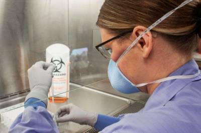 ВОЗ сообщила о выявлении «британского» штамма коронавируса в 41 стране мира