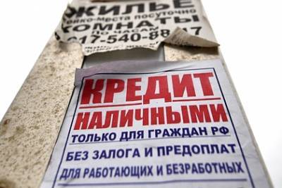 В Госдуме оценили идею амнистии кредитов россиян