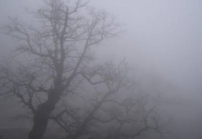 Погода в Украине на 6 января: местами влажно, с туманами