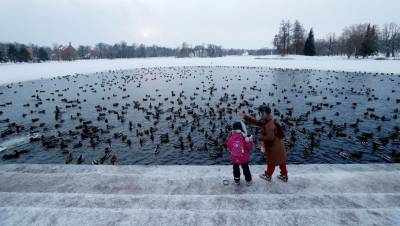 Петербург 6 января ждет похолодание и небольшой снег