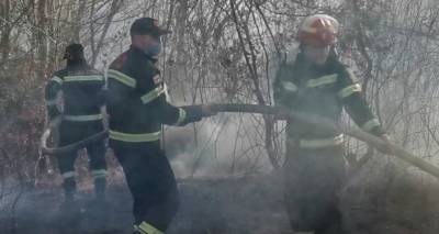 Огонь уничтожает леса в Западной Грузии: борьба с пожарами - видео с дрона