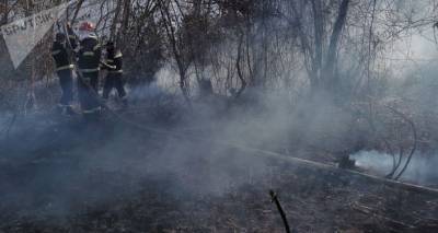 На западе Грузии продолжают тушить пожары