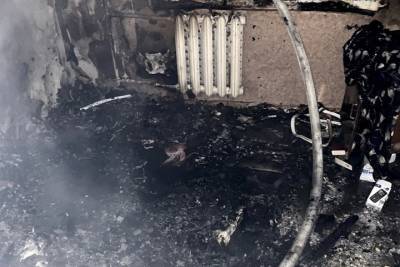 Неходячая женщина благополучно эвакуирована, но 2 кота погибли в пожаре в Десногорске
