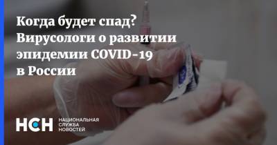 Когда будет спад? Вирусологи о развитии эпидемии COVID-19 в России