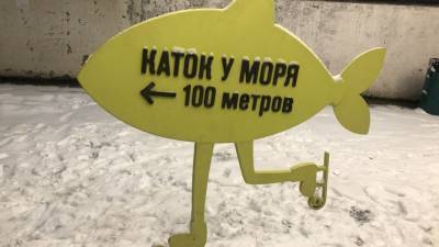 Петербуржцам рассказали, где покататься на коньках в новогодние каникулы