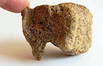 Ученые обнаружили «пластилин» каменного века
