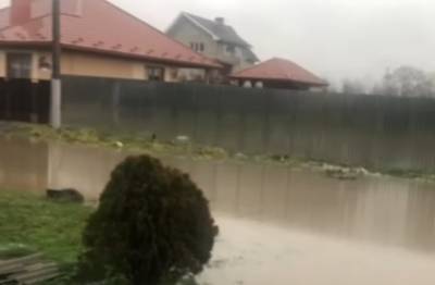 После дождей на Закарпатье затопило дома и колодцы