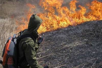 В Сочи в возникновении природных пожаров подозреваются пять человек