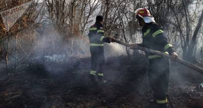 В Грузии пожары тушат в одиннадцати местах