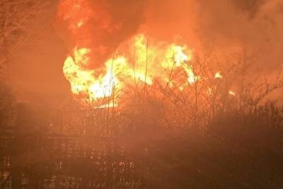 Три человека погибли при пожаре в Парголово