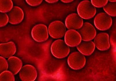 Медики: От группы крови зависит сила иммунитета