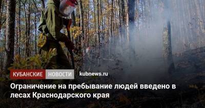 Ограничение на пребывание людей введено в лесах Краснодарского края