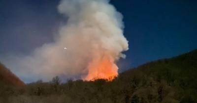 МЧС отчиталось о ликвидации всех лесных пожаров в Сочи