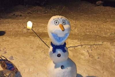 Под Тверью разрушили снеговика Олафа, любимца жителей Редкино