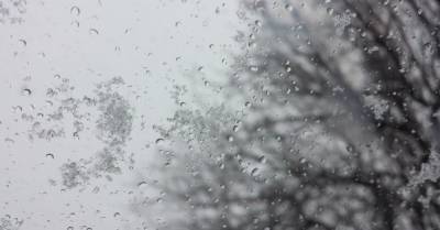 Дожди, мокрый снег, сильный ветер: какой будет погода в Украине на рождественских выходных
