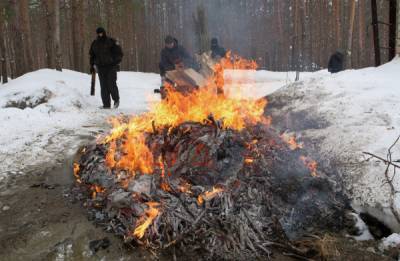 Россиян обязали сообщать властям о поджогах в лесах