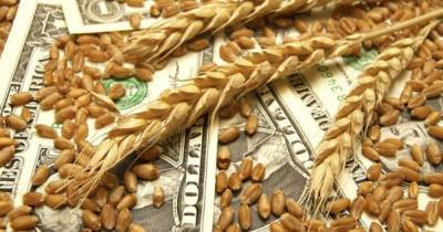 Украинская пшеница на экспортном рынке подорожала до шестилетнего максимума