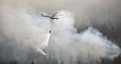 На тушении пожара в Западной Грузии задействована авиация
