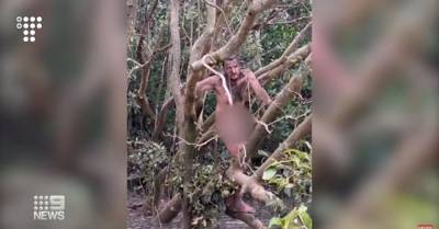 Двое рыбаков в Австралии спасли от крокодилов голого мужчину. Он скрывался в лесу от полиции из-за кражи