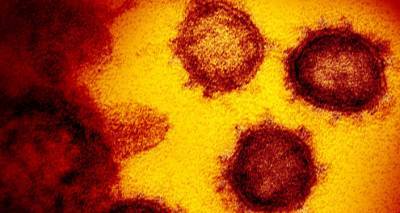 Еще одно явление коронавируса – нигерийский штамм