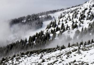 Украинцев призвали не ходить в горы на Рождество: есть угроза лавин