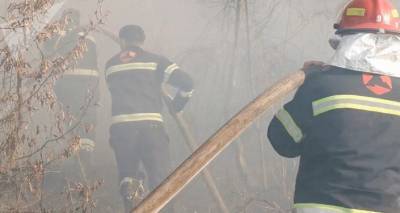 Пожары в Грузии тушат более 700 пожарных-спасателей