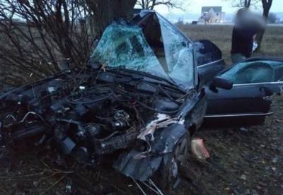 Под Николаевом разбился насмерть патрульный на BMW (фото)