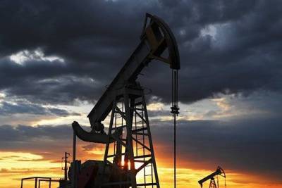 Цена нефти Brent и WTI немного упала на фоне беспорядков в Вашингтоне