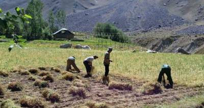 В ГБАО состоялся тренинг по повышению урожайности для местных фермеров и садоводов