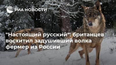 “Настоящий русский”: британцев восхитил задушивший волка фермер из России