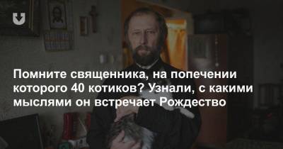 Помните священника, на попечении которого 40 котиков? Узнали, с какими мыслями он встречает Рождество